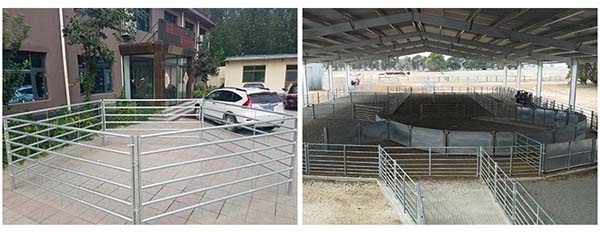 Cheap Livestock Metal Cattle Panel